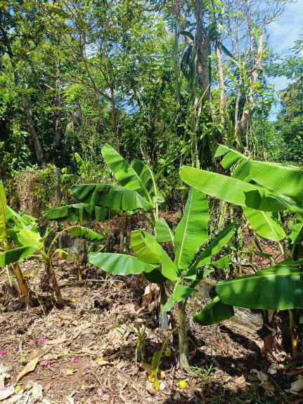 hình ảnh sản phẩm 404