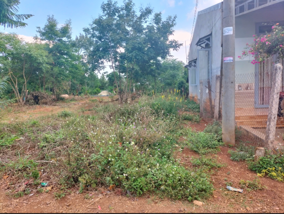 Bán lô đất giá tốt 217m² hướng Nam tại buôn Kmat – xã Hoà Đông, TP. Buôn Ma Thuột