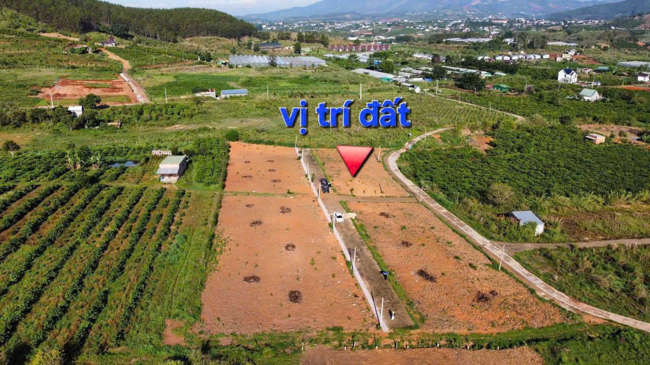 Sơ đồ mặt bằng