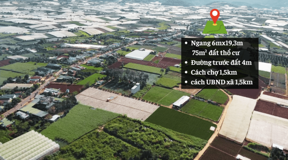 Đầu tư bất động sản vùng ven Đà Lạt 2025: Cơ hội sinh lời bền vững giữa thiên nhiên trong lành