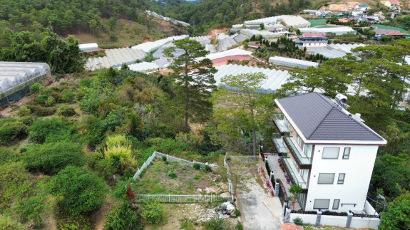 Bán Đất Biệt Thự Khu FiveStar, Măng Lin, Phường 7, Đà Lạt – View Đồi Thông Cực Đẹp, Sổ Riêng, Full Thổ Cư