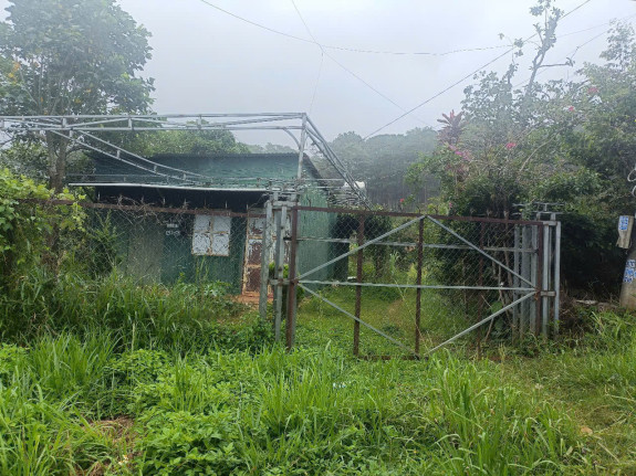 Bán Lô Đất 2.000m² Tại Xã Hiệp An – Đức Trọng | Đất Thổ Cư – View Rừng Thông  – Giá Tốt Tách Lẻ